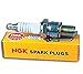 NGK BR9ES (5722) Spark Plug