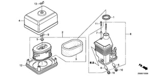 AIR CLEANER (DUAL)