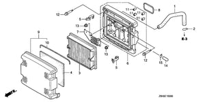 AIR CLEANER (DUAL)
