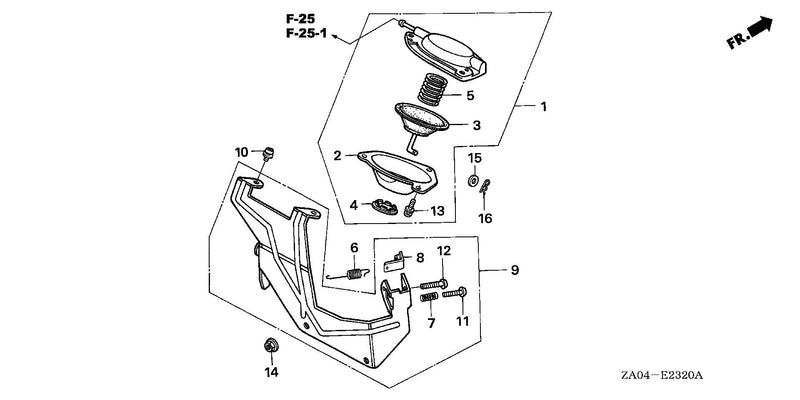 DIAPHRAGM (1)