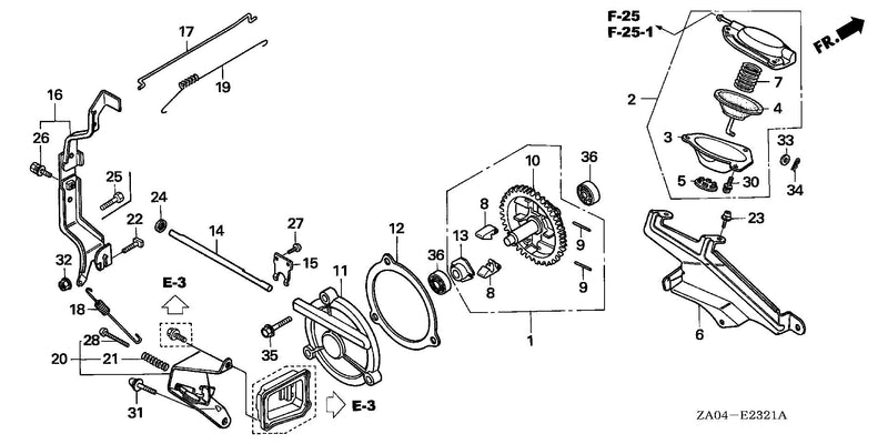 DIAPHRAGM (2)