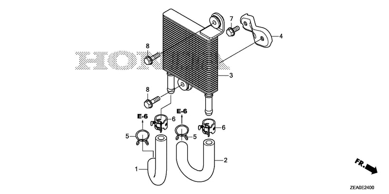 OIL COOLER