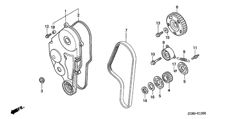 TIMING BELT