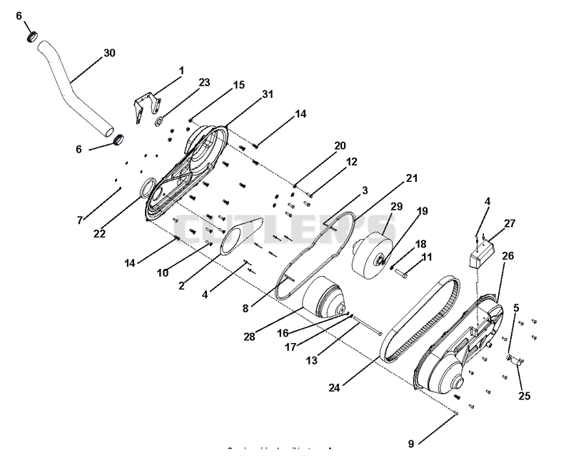Drive Belt Assembly