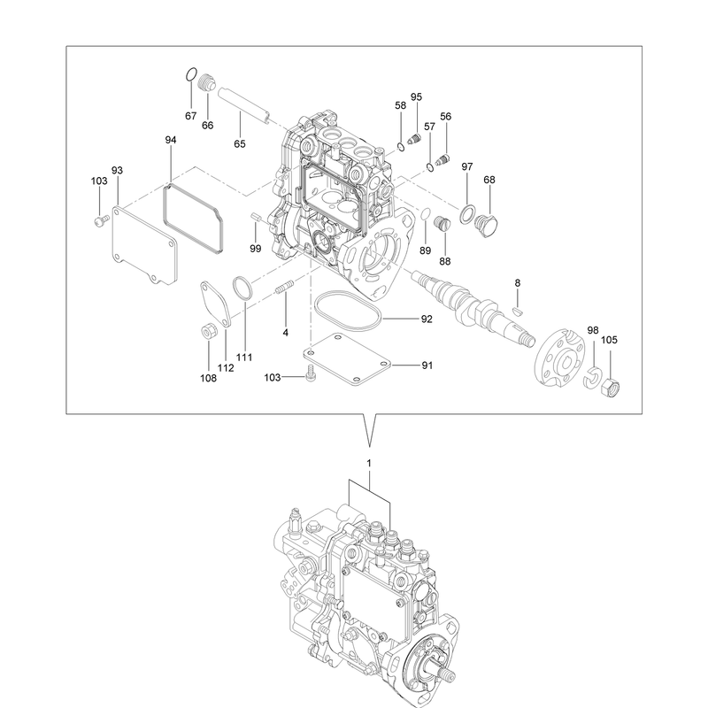 Fuel Injection Pump Assembly