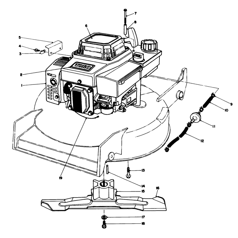 Engine Assembly