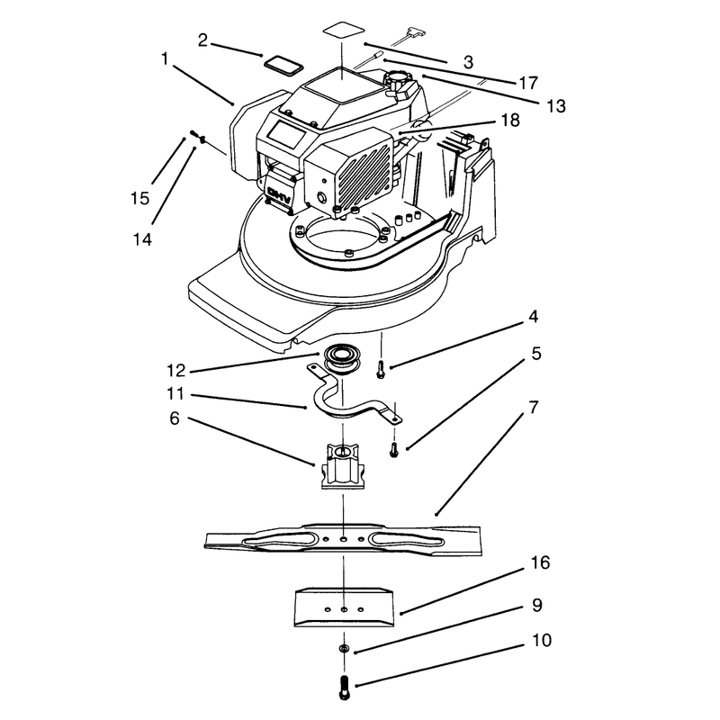 Engine Assembly