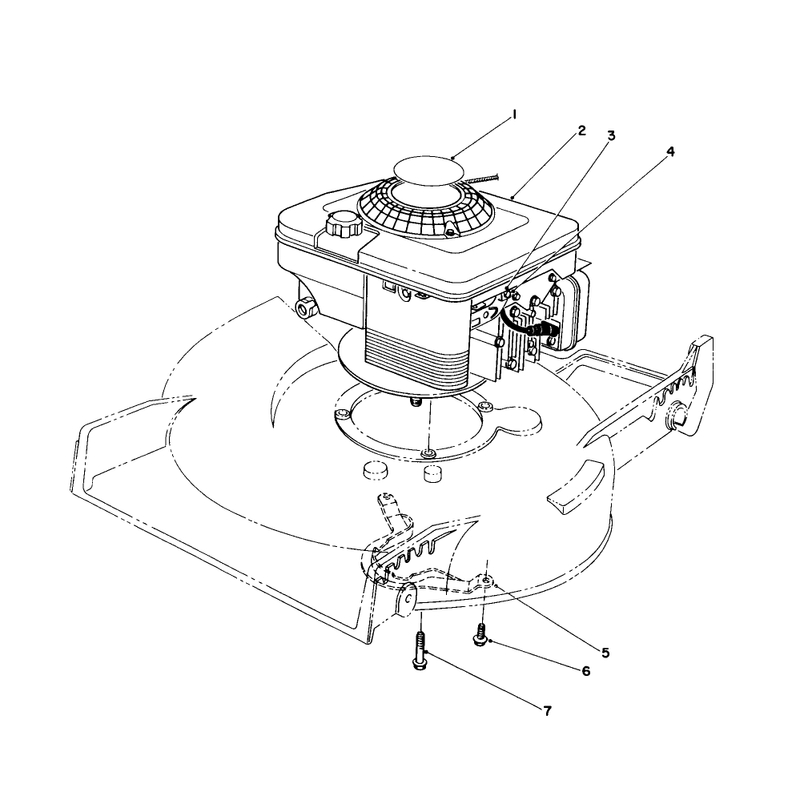 Engine Assembly