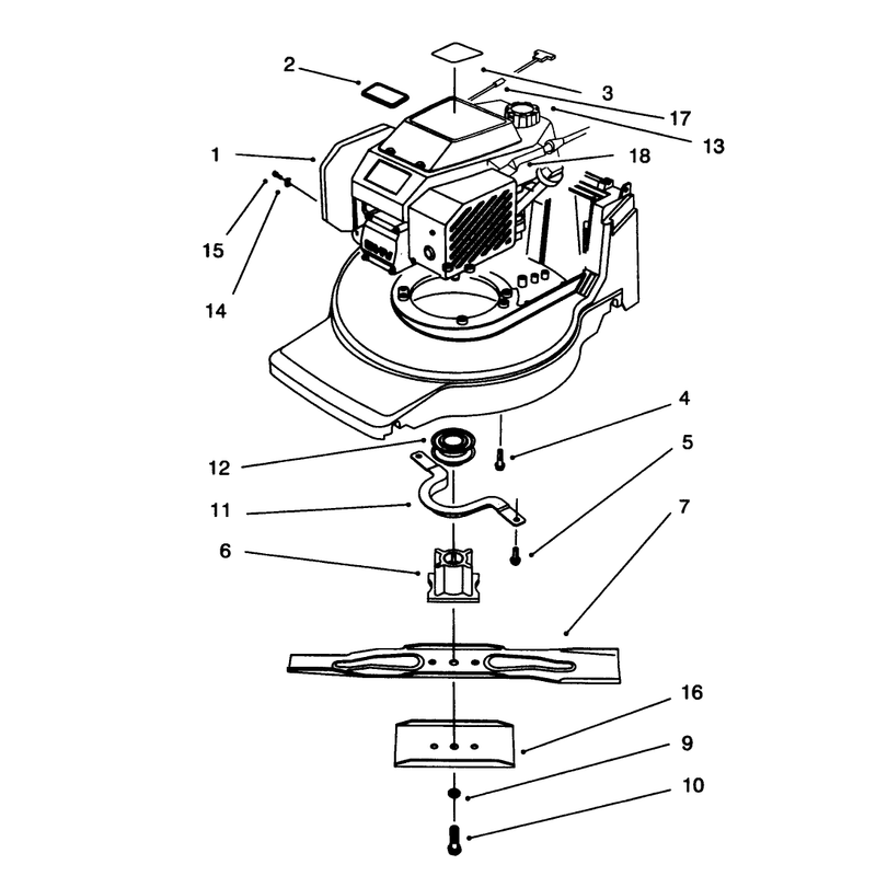 Engine Assembly