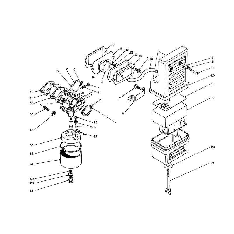 Air Cleaner and Carburetor Assembly