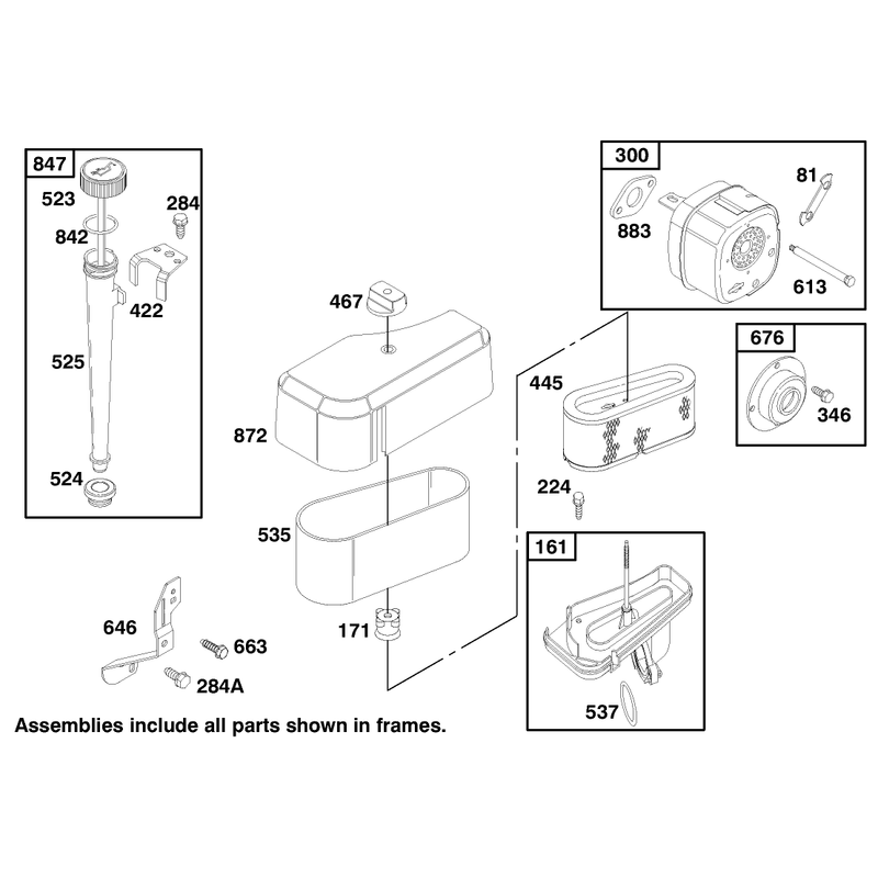 Engine Briggs and Stratton Model 195707-0421-E1