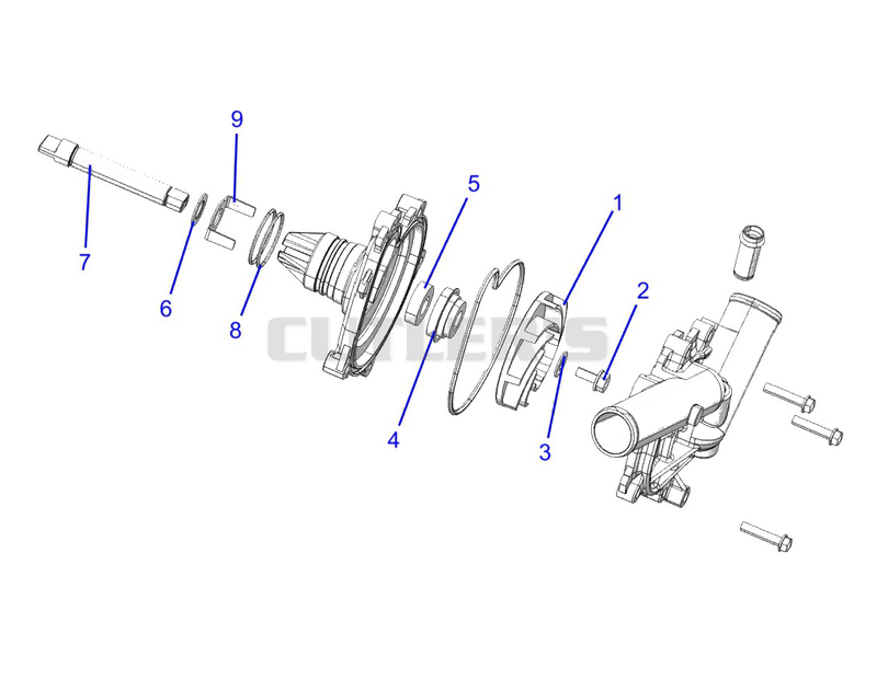 Engine, Water Pump Assembly