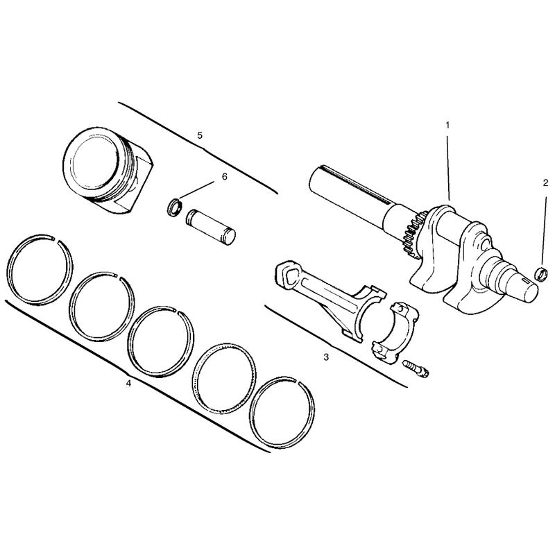 Crankshaft Piston and Rings