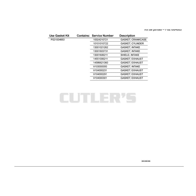 Gasket Kit -- P021004663