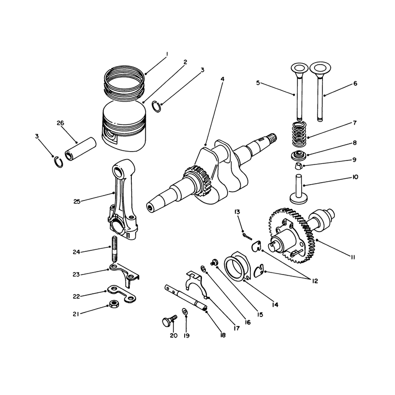 Crankshaft and Camshaft