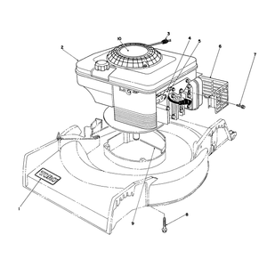 Engine Assembly