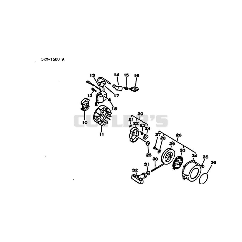 Clutch Ignition and Recoil Starter