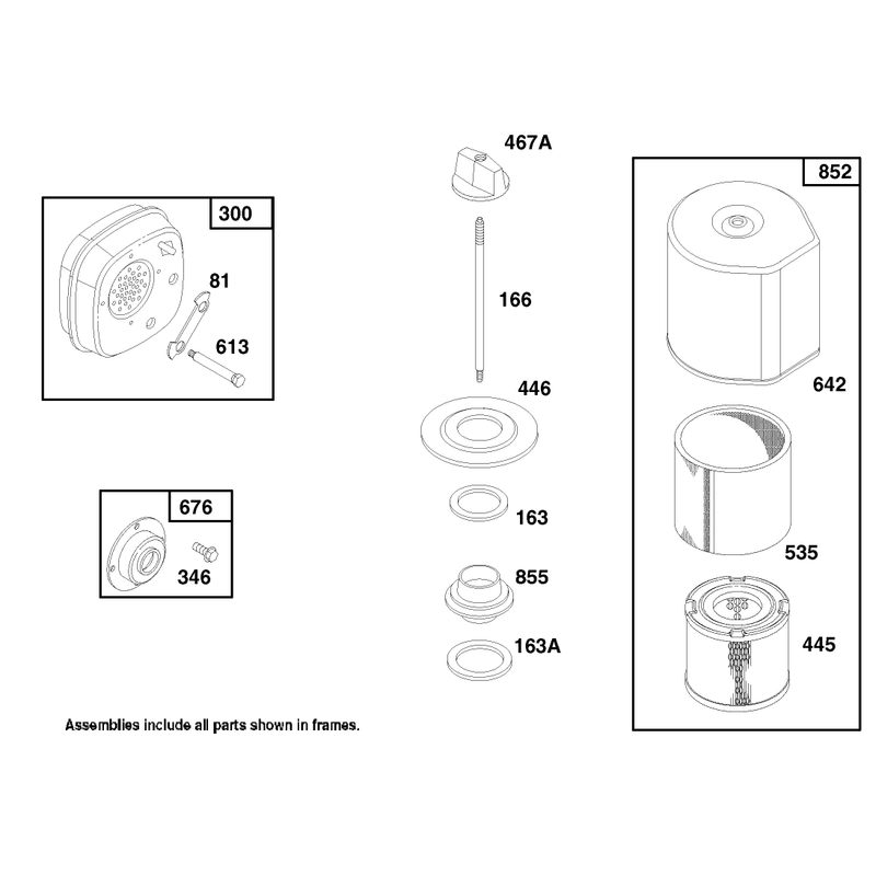 Engine Briggs and Stratton Model 135202-0263-01