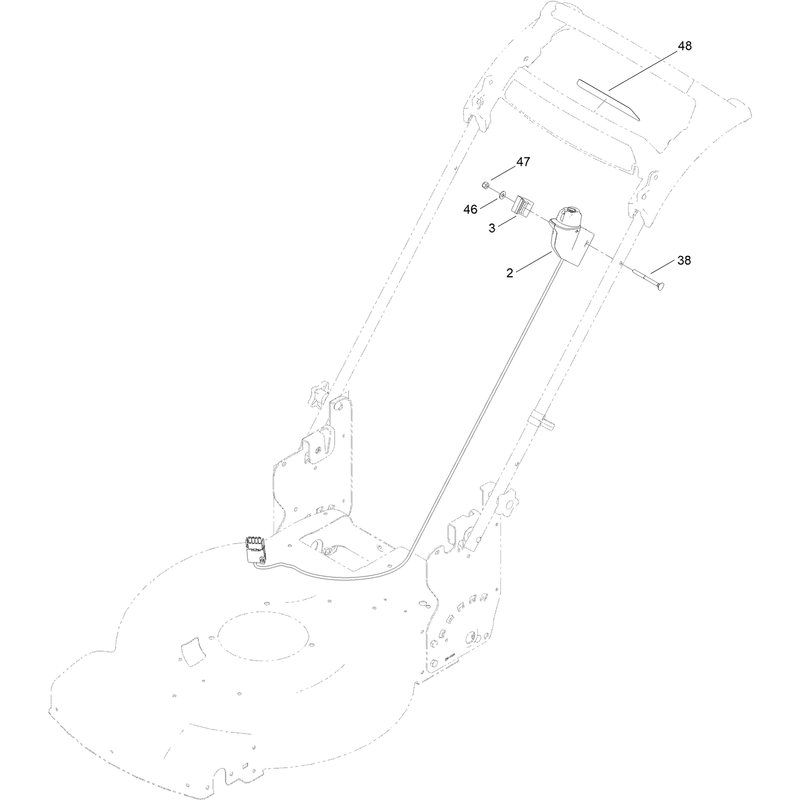 Starter Switch Assembly