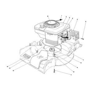 Engine Assembly