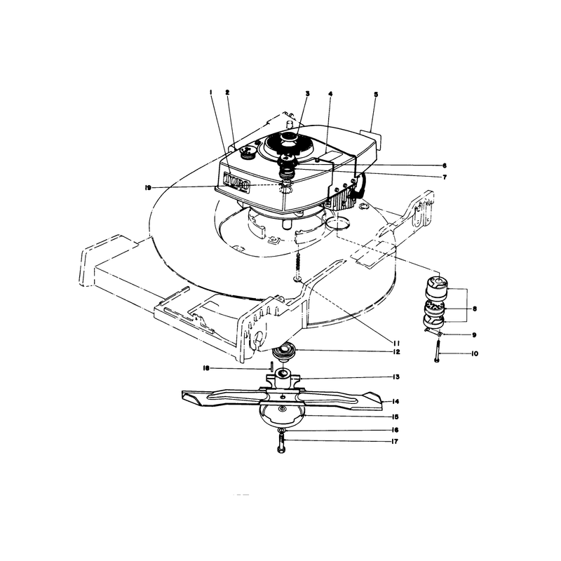 Engine Assembly