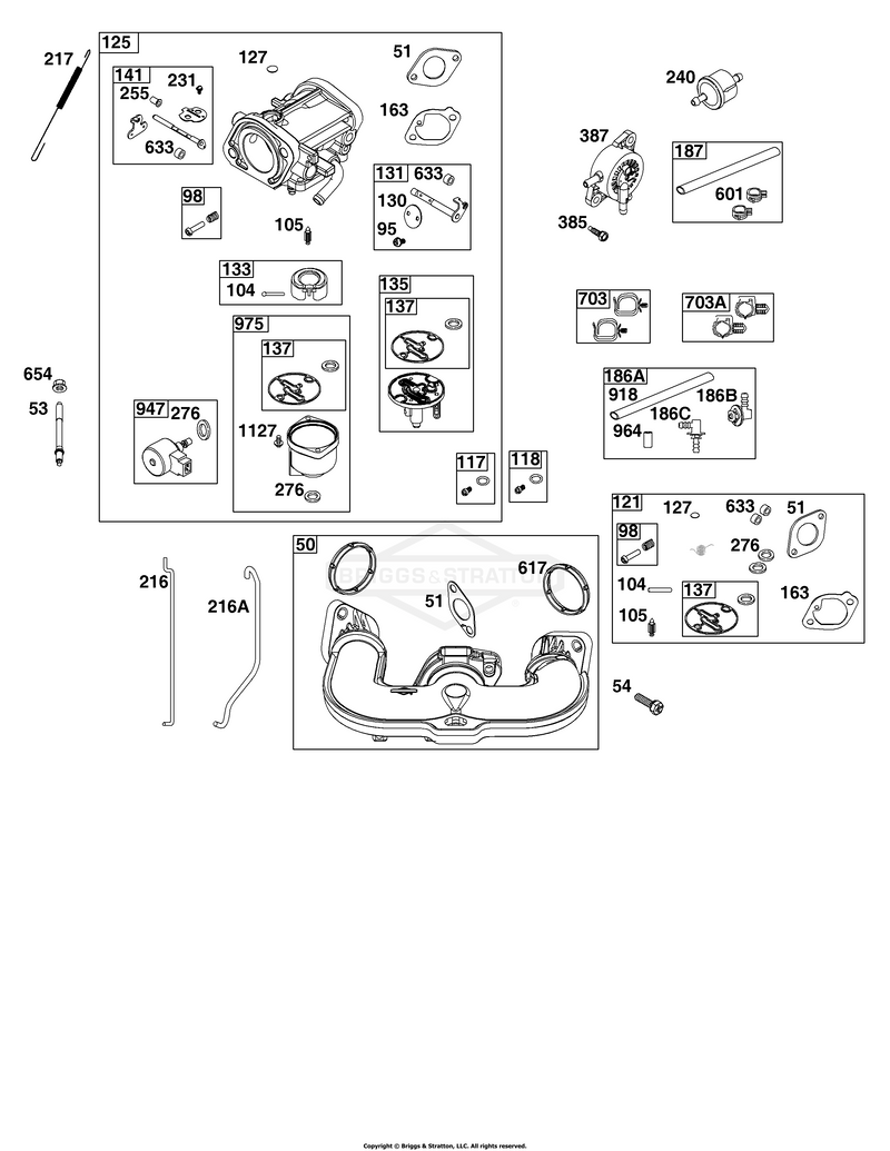 Carburetor and Fuel Supply Group