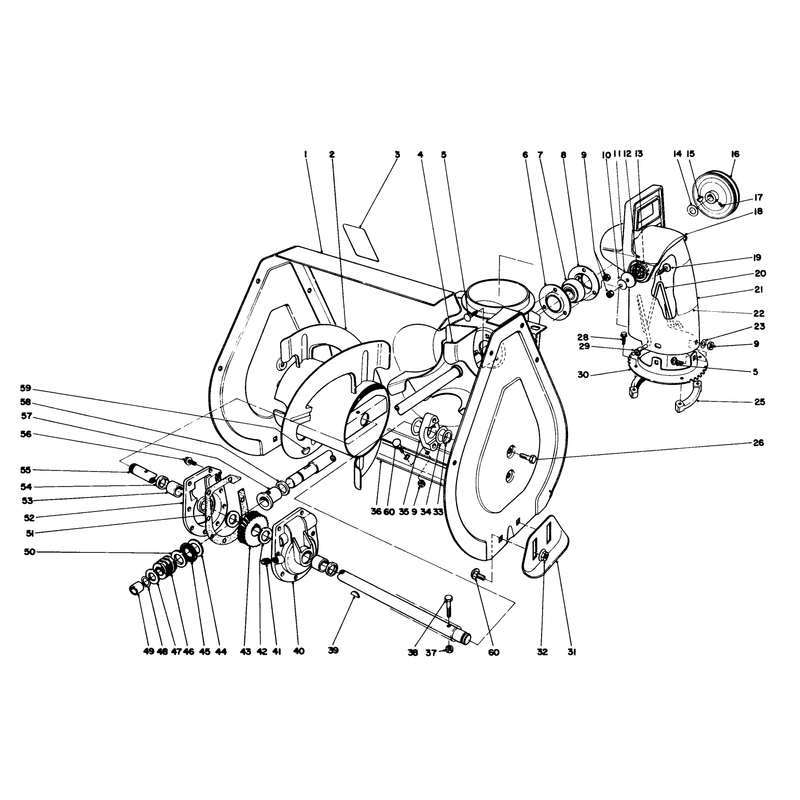 Auger Assembly