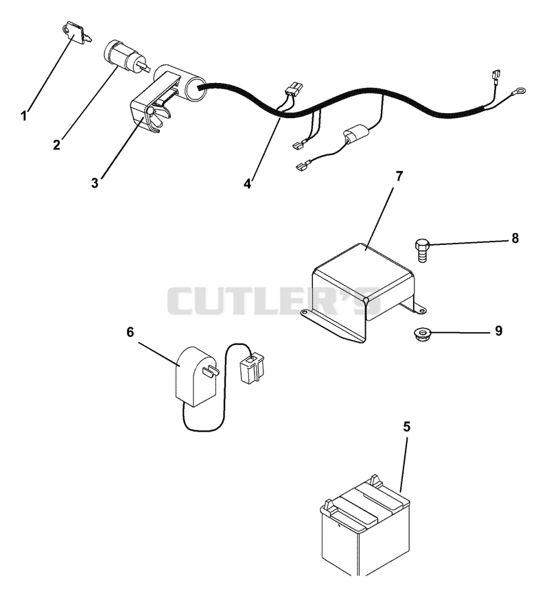 Electrical Harness & Battery