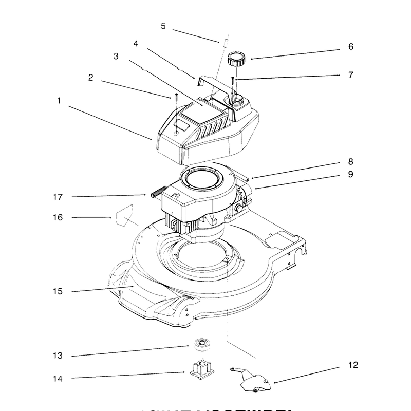 Engine Assembly