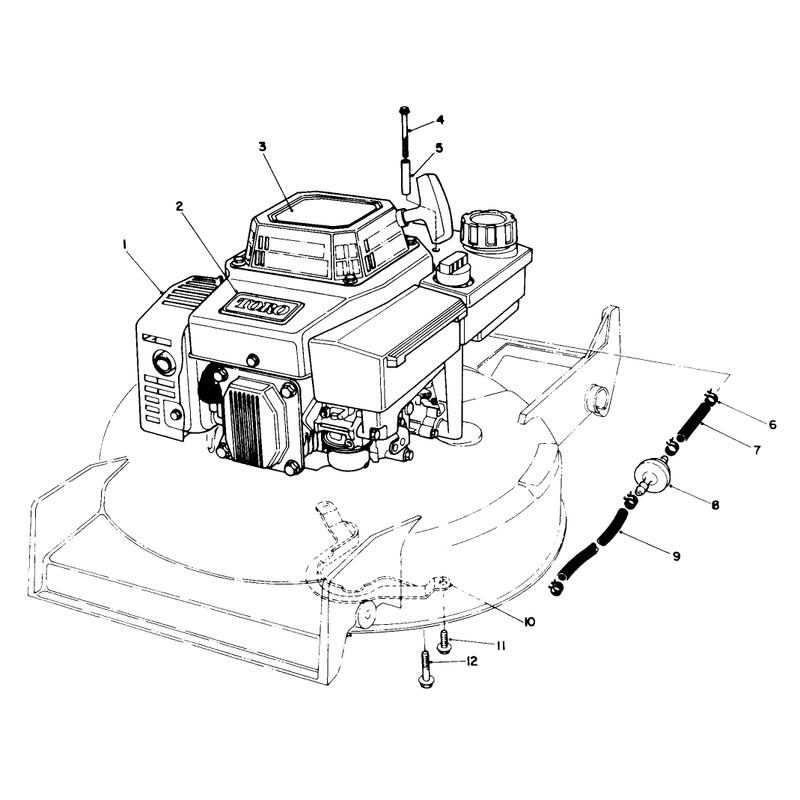 Engine Assembly
