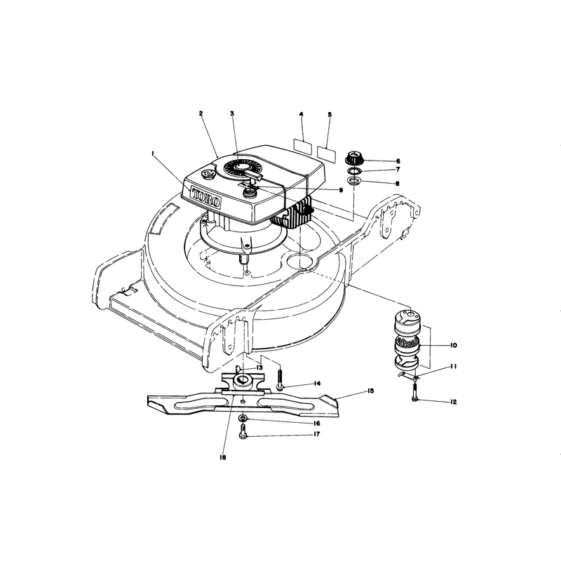 Engine Assembly