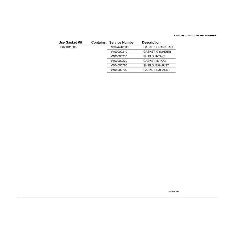 P021011000 GASKET KIT