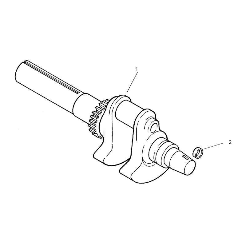 Group 1 Crankshaft Assembly Kohler CH740-0007