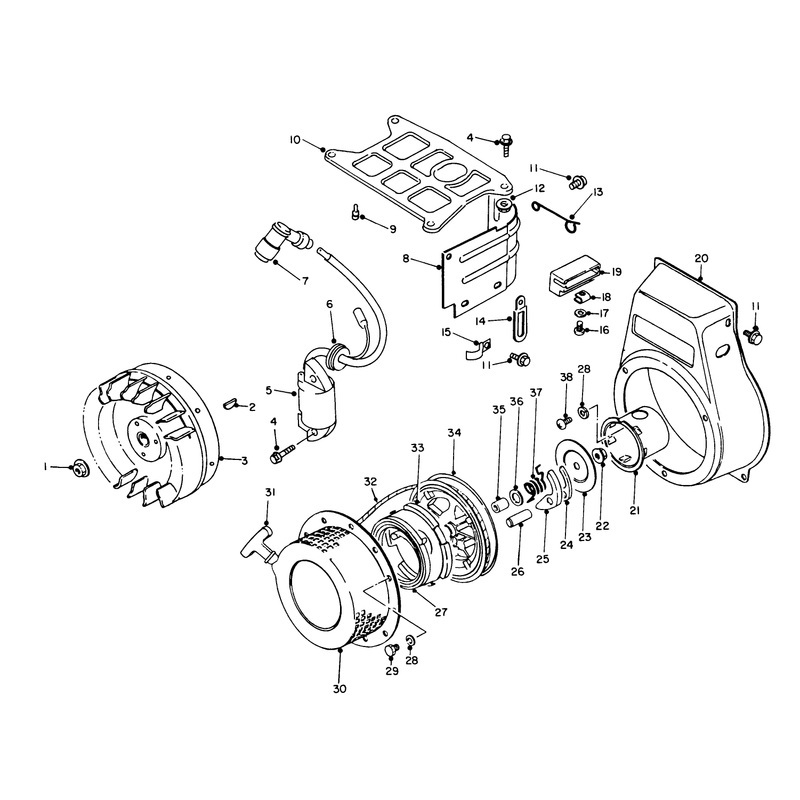 Rewind Starter and Magneto Assembly