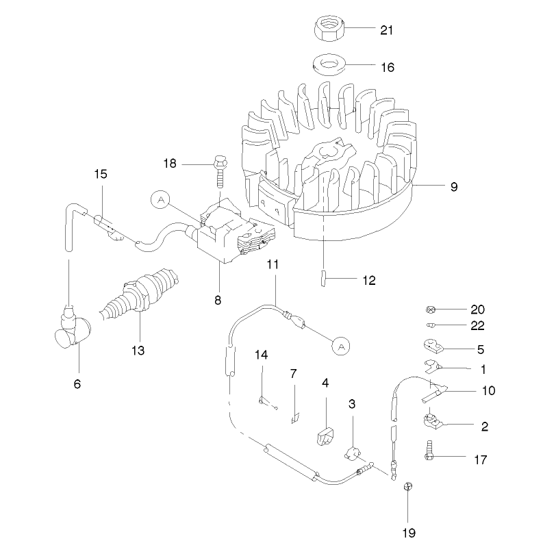 Flywheel and Ignition Assembly