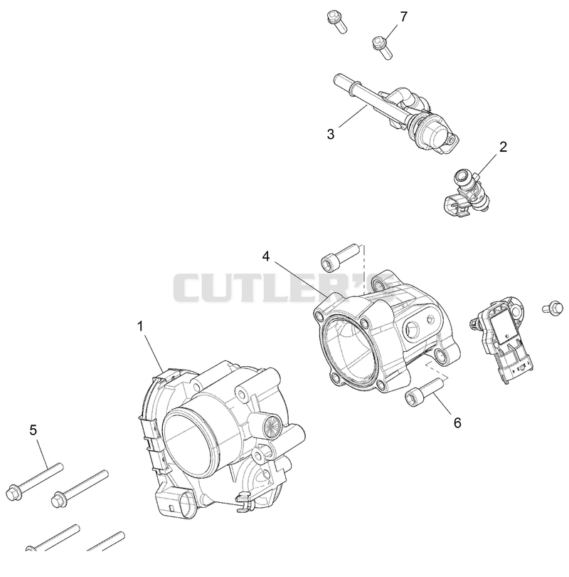 Throttle Body And Fuel Rail