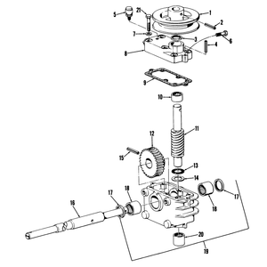 25in and 34in Gear Case Assembly