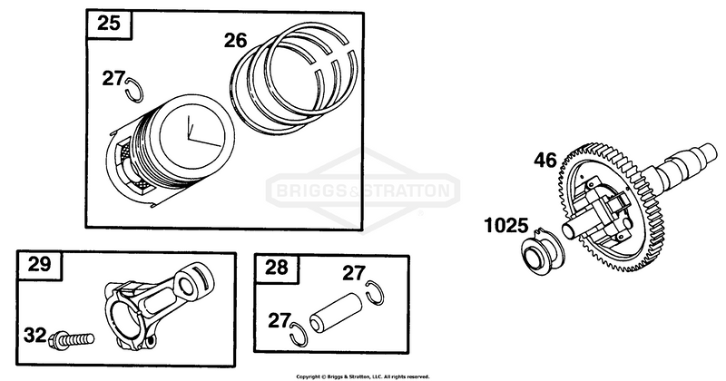 Piston Grp, Cam