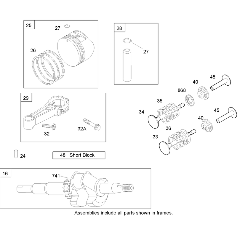 Crankshaft Assembly Briggs and Stratton 125K02-0202-E1