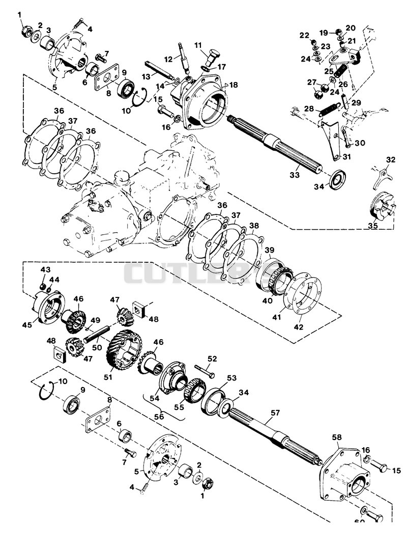 STANDARD DIFFERENTIAL