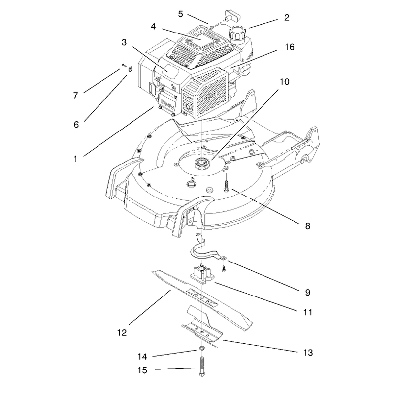 Engine Assembly