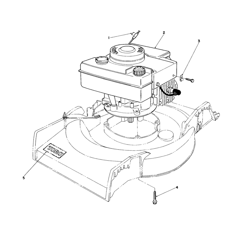 Engine Assembly