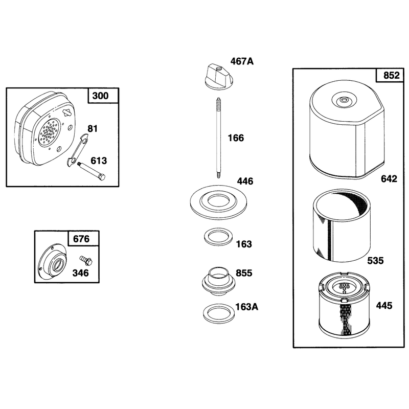 Engine Briggs and Strattonmodel 135202-0263-01