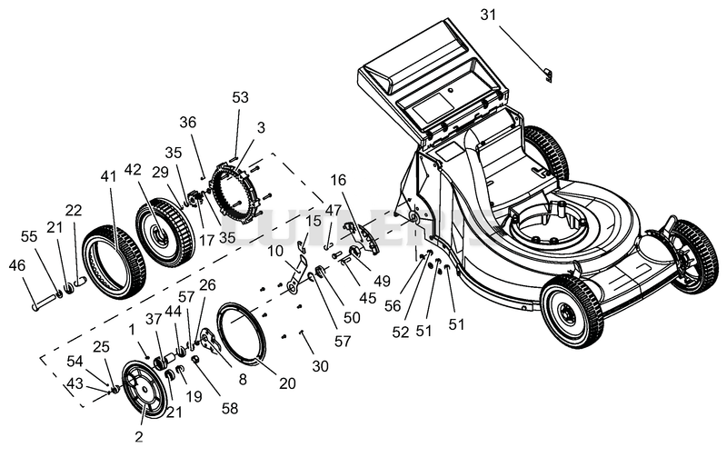 Rear Tires - Height Of Cut