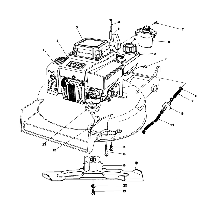 Engine Assembly