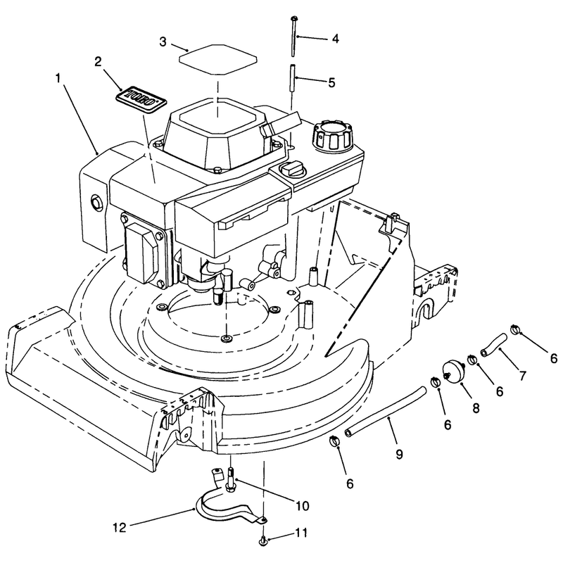 Engine Assembly