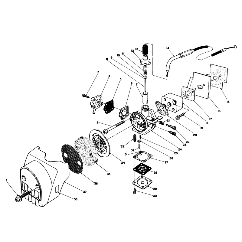 Air Cleaner & Carburetor Assembly