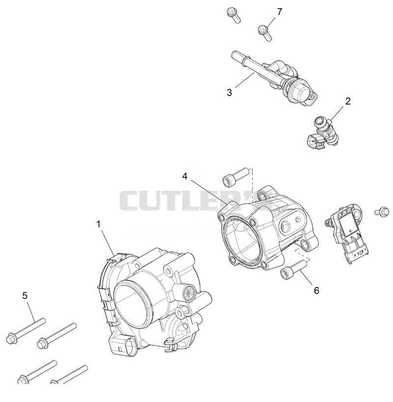 Throttle Body And Fuel Rail