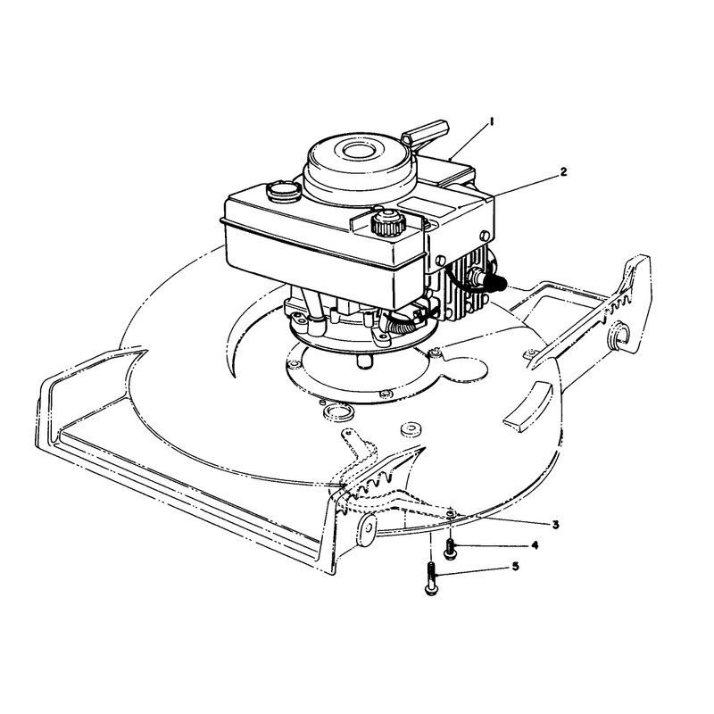 Engine Assembly