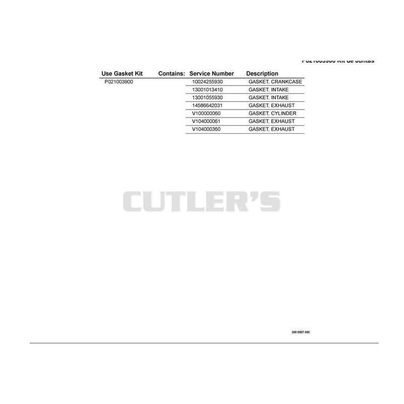 P021003900 Gasket Kit